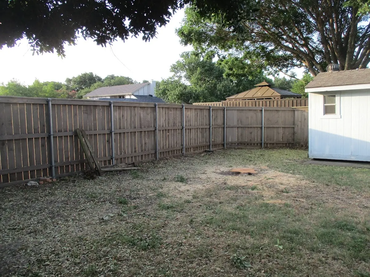 Cleared yard after professional tree removal in Jersey